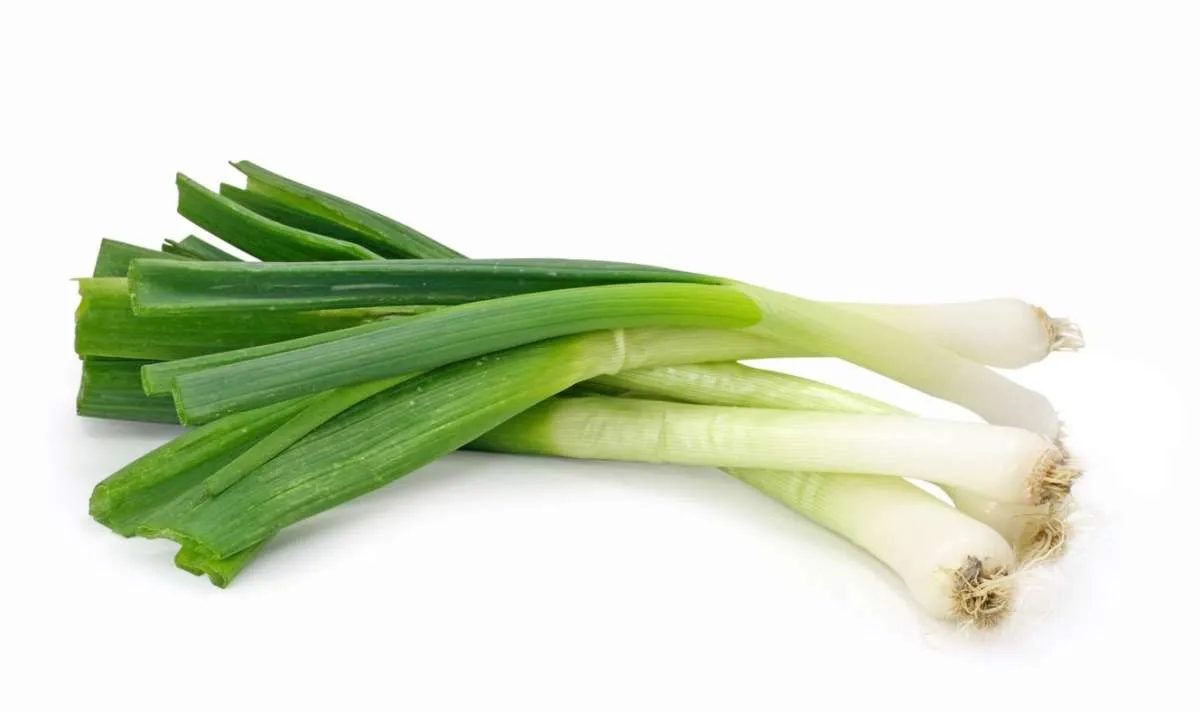 Daun Bawang