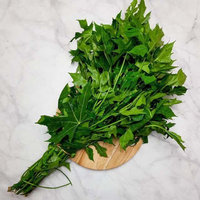 Daun Pepaya