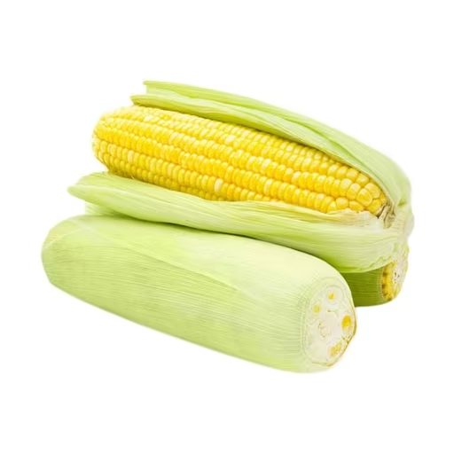 Jagung Manis