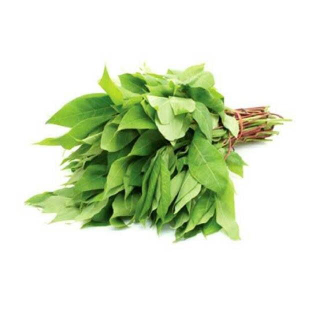 Daun Singkong